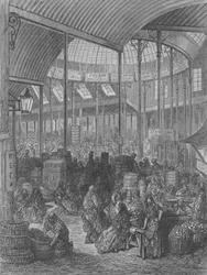 Vegetable and Fruit Market